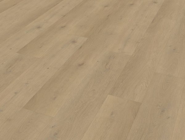 Belakos Attico 870 stroken (dryback) - Afbeelding 2