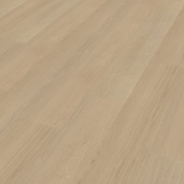 Belakos Futuro 520 stroken (dryback) - Afbeelding 2