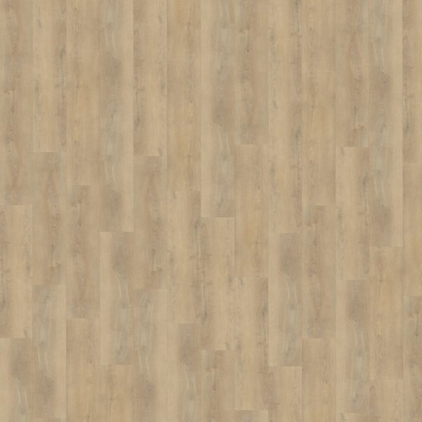 Belakos Palazzo 720 stroken (dryback)