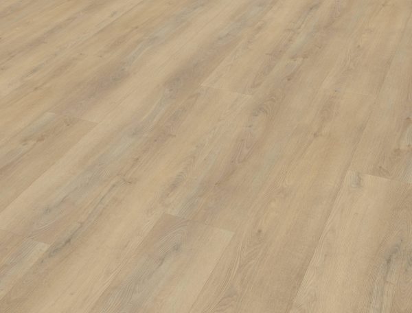 Belakos Palazzo 720 stroken (dryback) - Afbeelding 3