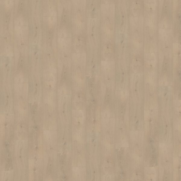 Belakos Palazzo 740 stroken (dryback)