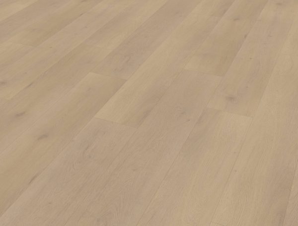 Belakos Palazzo 770 stroken (dryback) - Afbeelding 3
