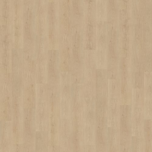 Belakos Monastro 920 stroken (dryback)