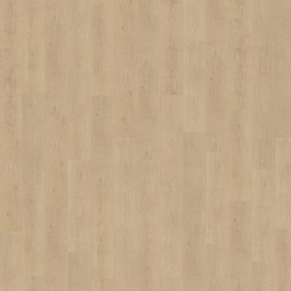 Belakos Monastro 920 stroken (dryback)