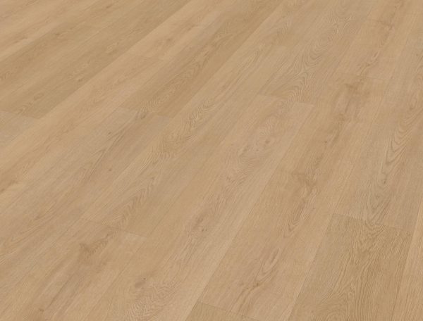 Belakos Monastro 930 stroken (dryback) - Afbeelding 2