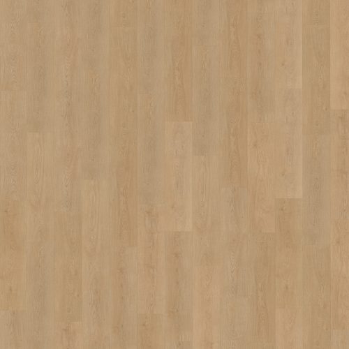 Belakos Monastro 930 stroken (dryback)