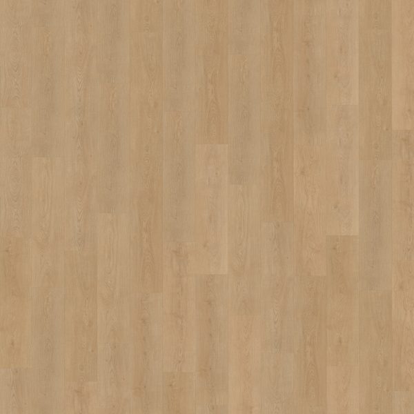 Belakos Monastro 930 stroken (dryback)